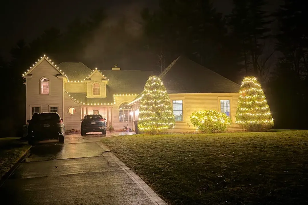 Two evergreens and a foundation shrub lit in warm white in front of a cape with a lit roofline.